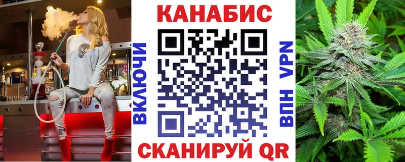 где найти наркотики  Судогда  Каннабис гибрид 